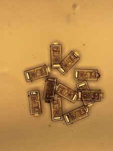 microsensors on table